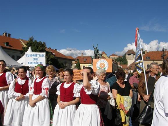 VI. Egri Nemzetközi Cukorbeteg Találkozó
