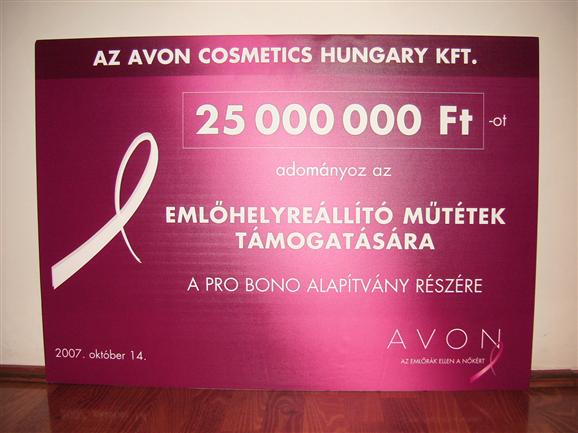 Az AVON 25 000 000 forintot adomnyozott rekonstrukcis emlmttekre