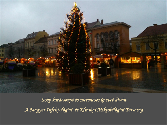 Szombathely F tér - Karácsonyi vásár 2014