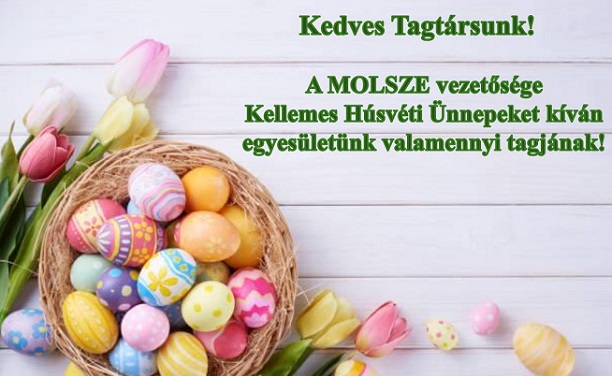 Kellemes Hsvti nnepeket!