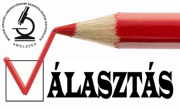 MOLSZE Vezetsgvlaszts 2025